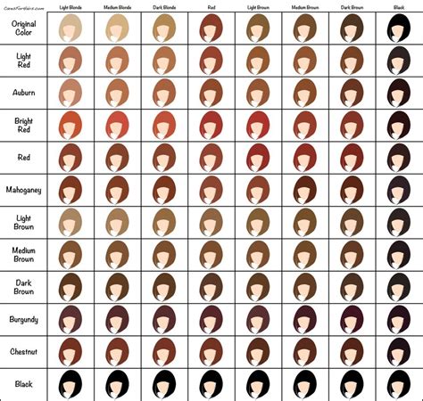 thick hair color chart